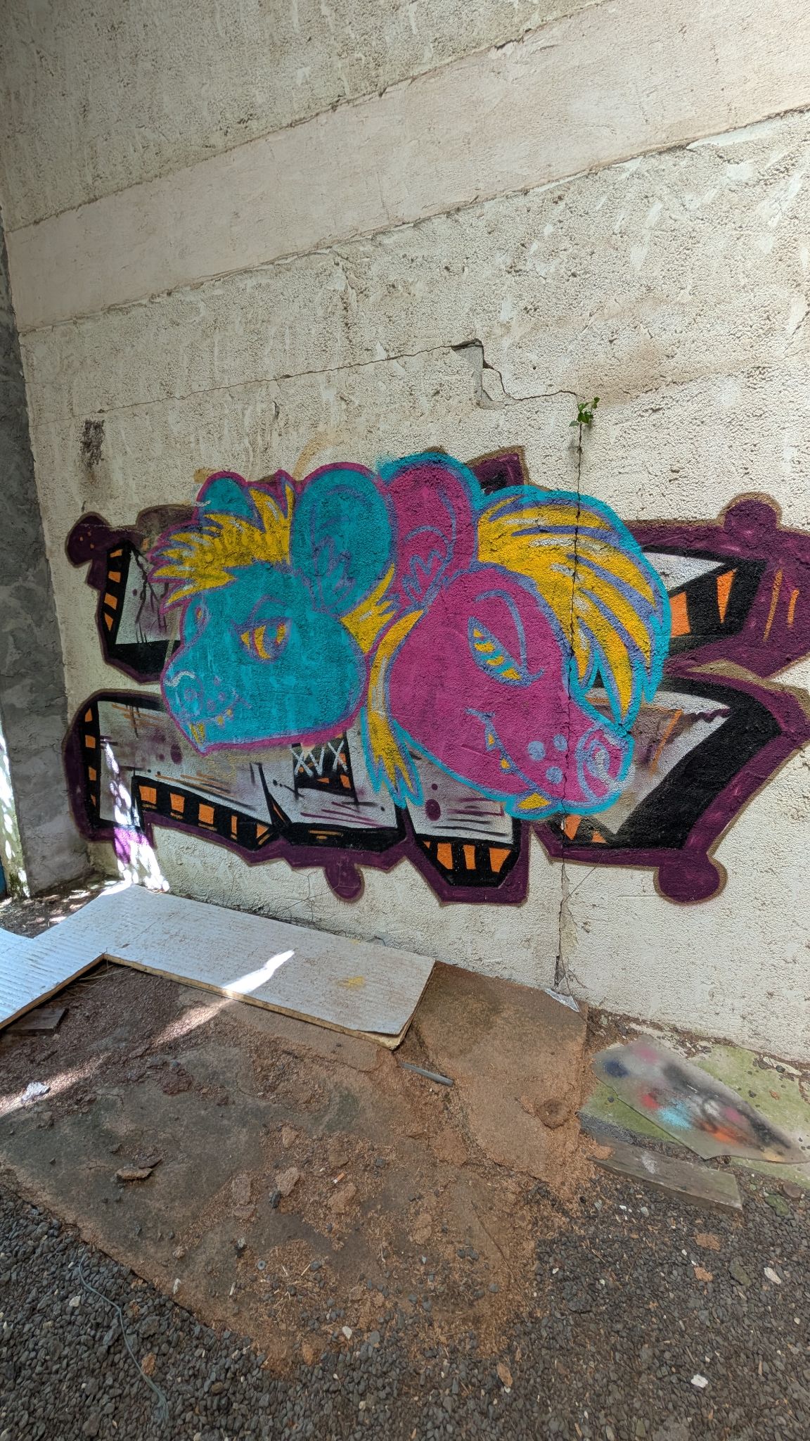 PXL 20260416 131452720