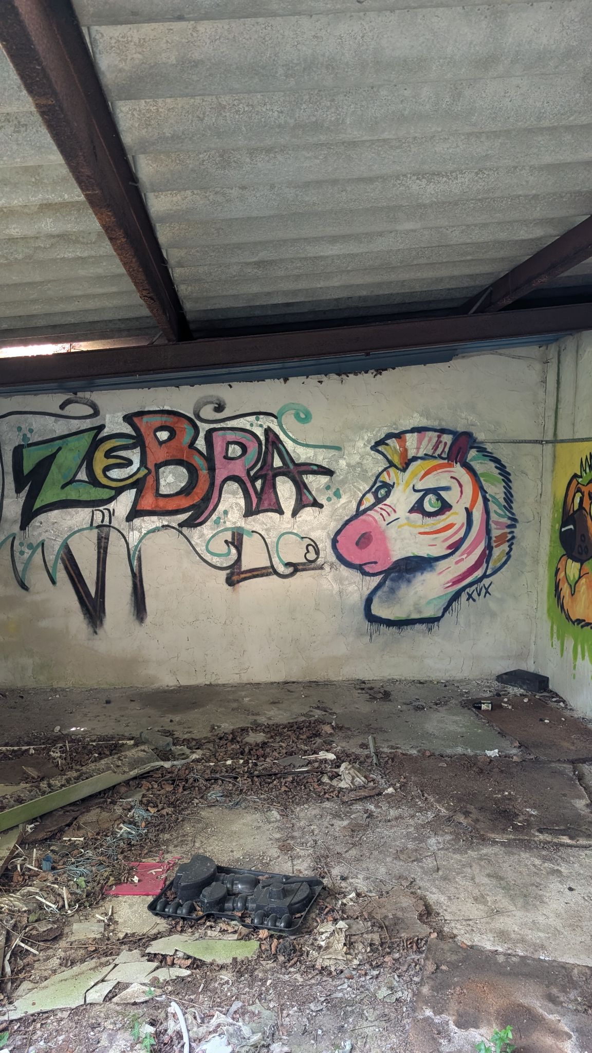 PXL 20260416 131507268.MP