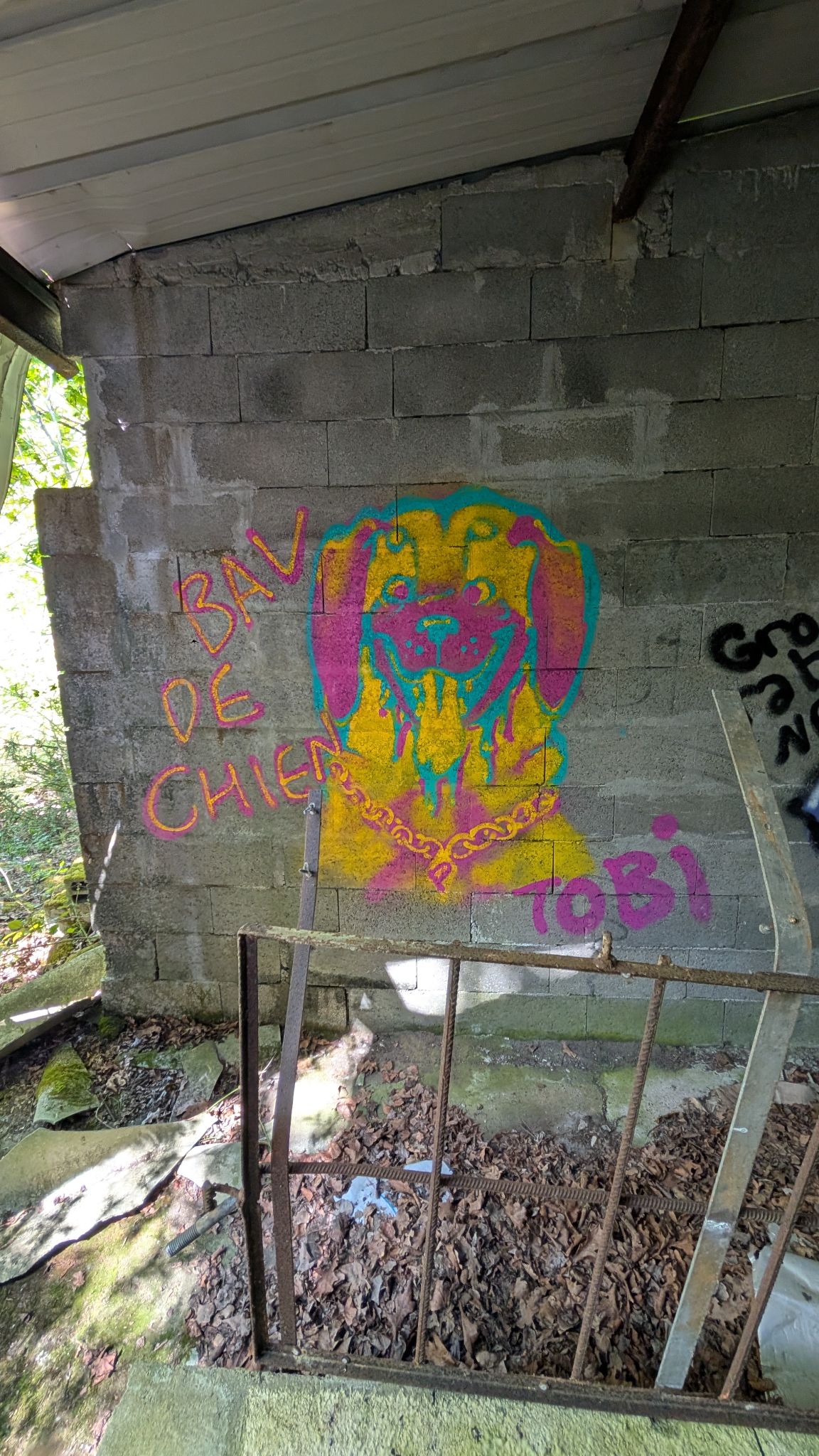 PXL 20260416 131859558.MP