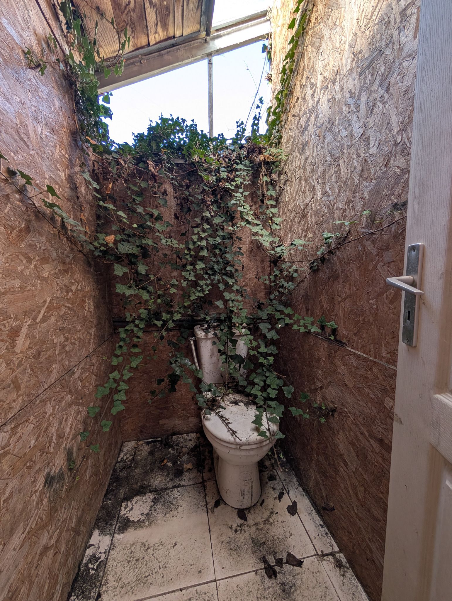 PXL 20260315 143113333