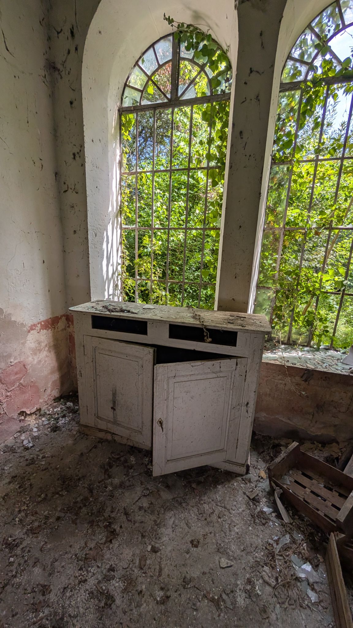 PXL 20260427 125212851