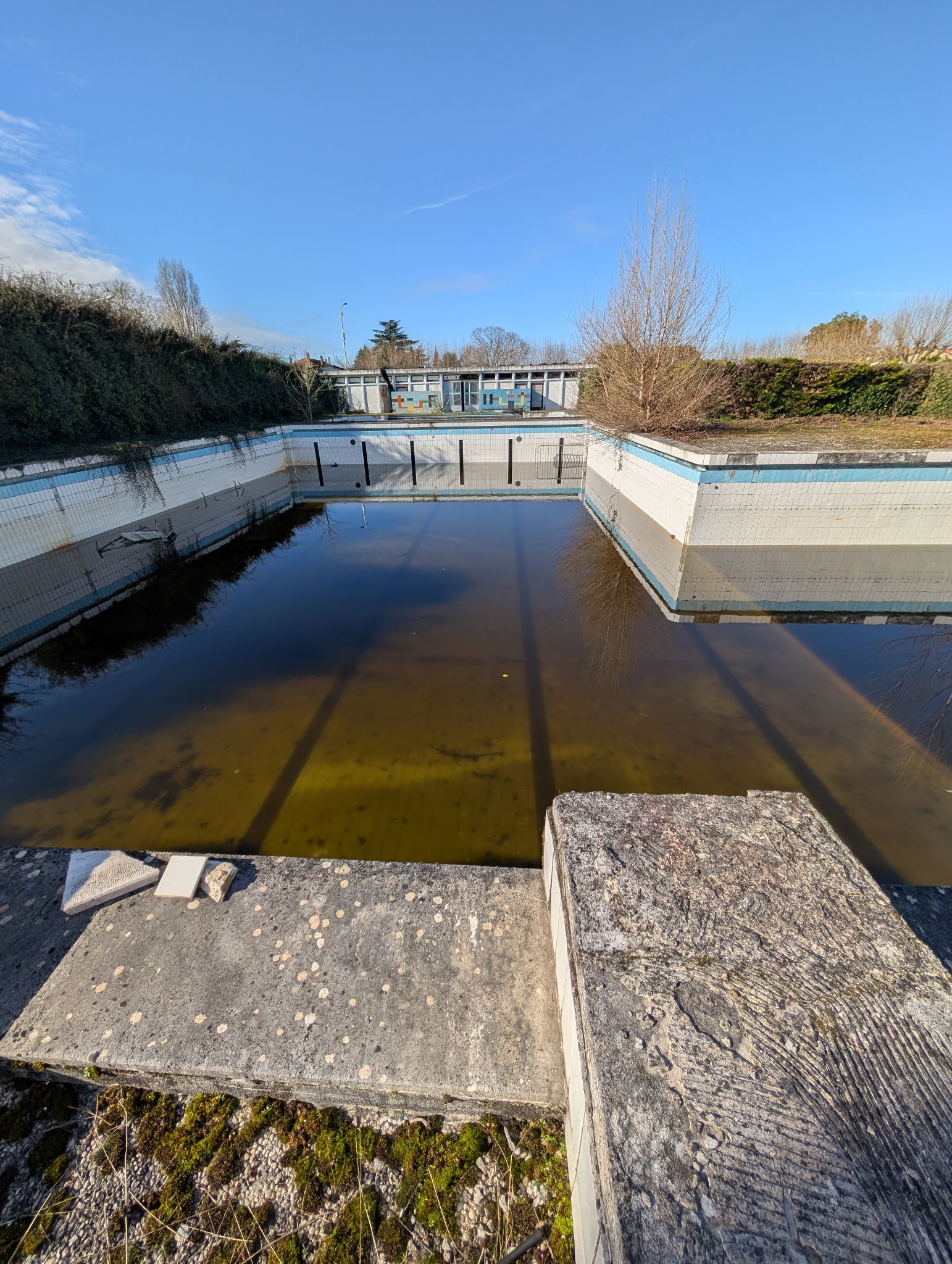 PXL 20260208 140544252