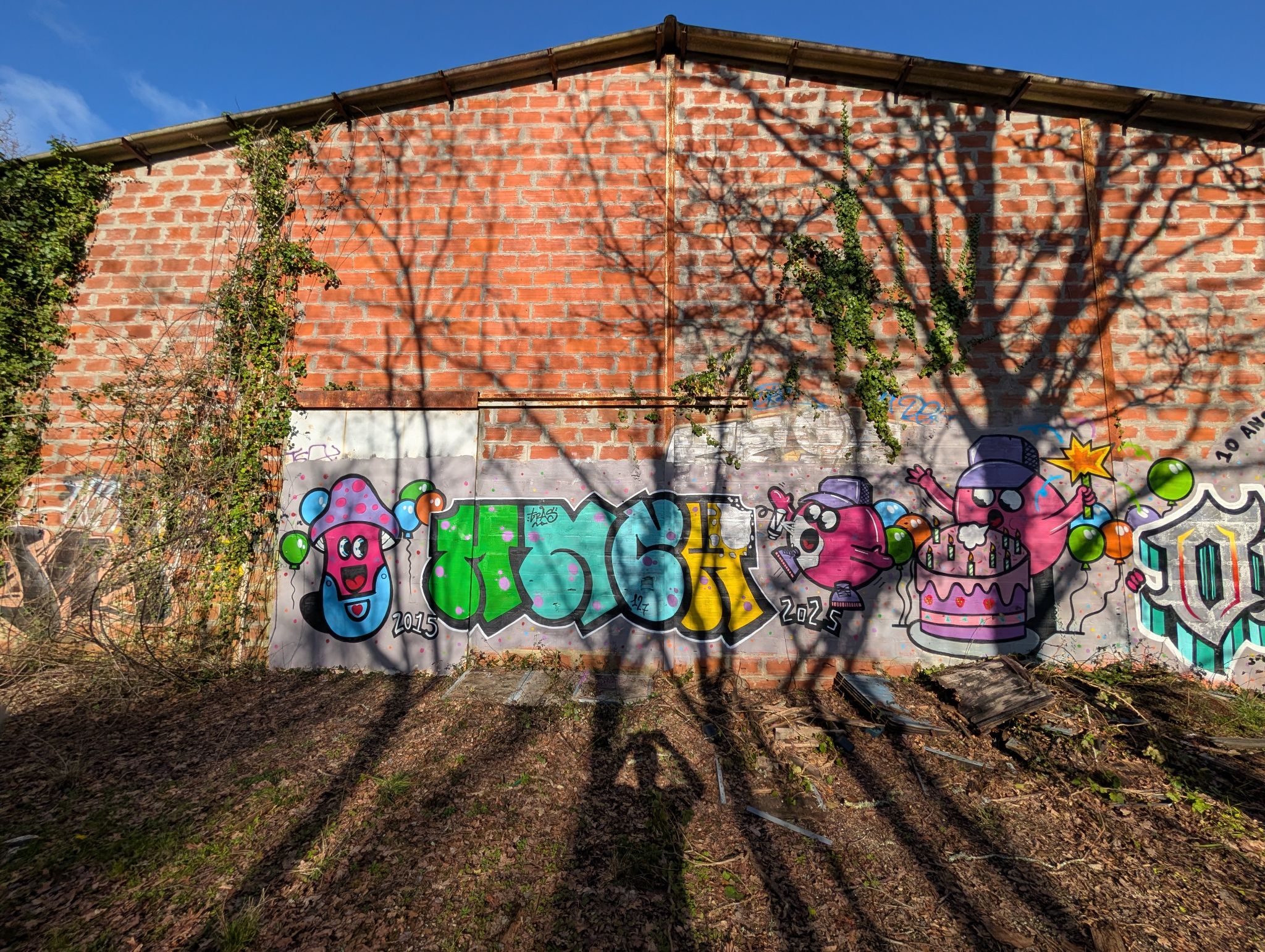 PXL 20260228 153138713