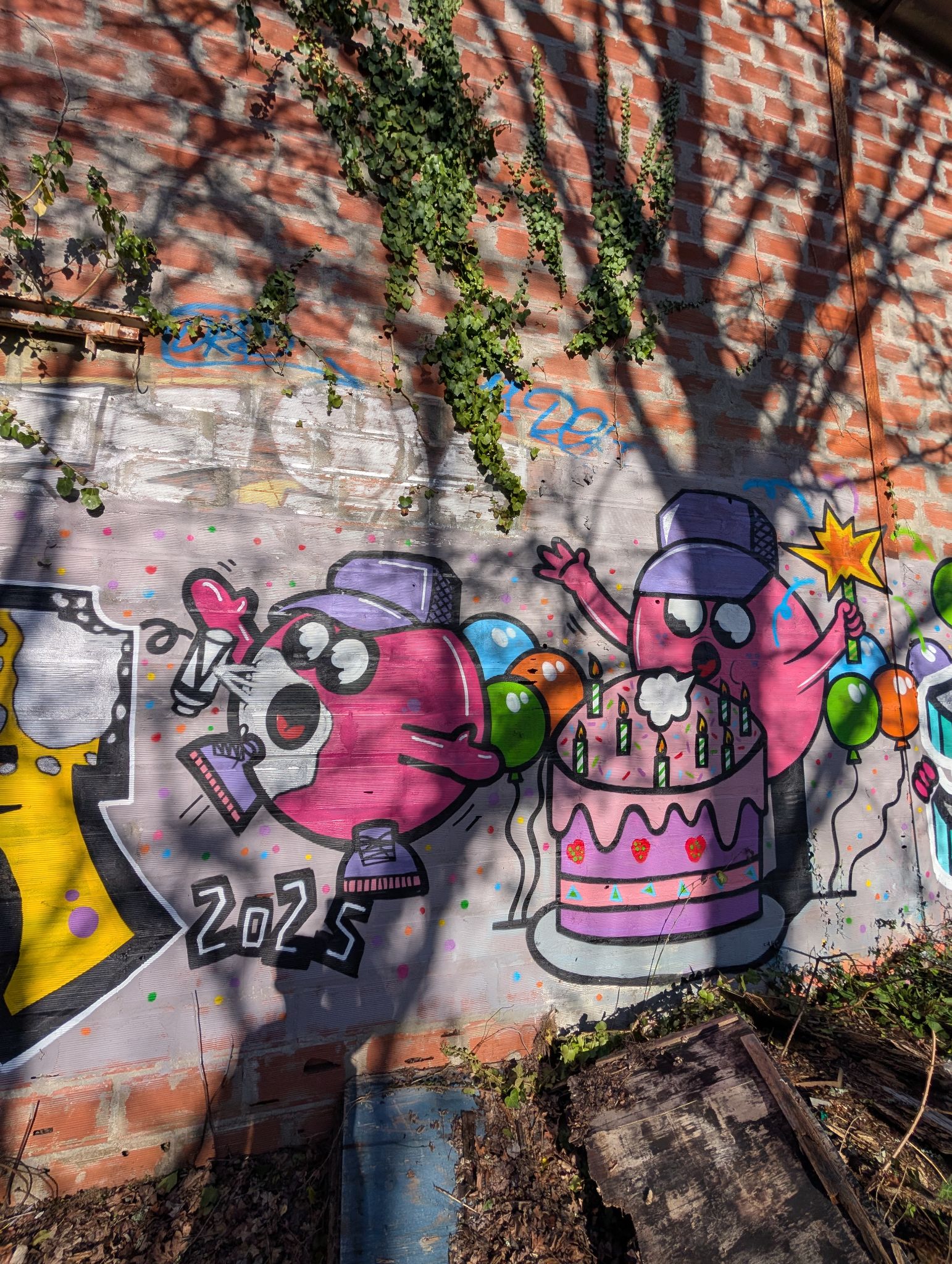 PXL 20260228 153206533