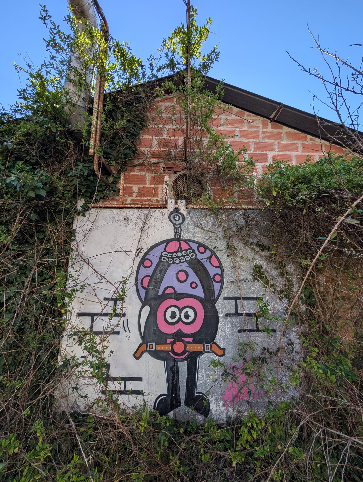 PXL 20260228 153622764.MP