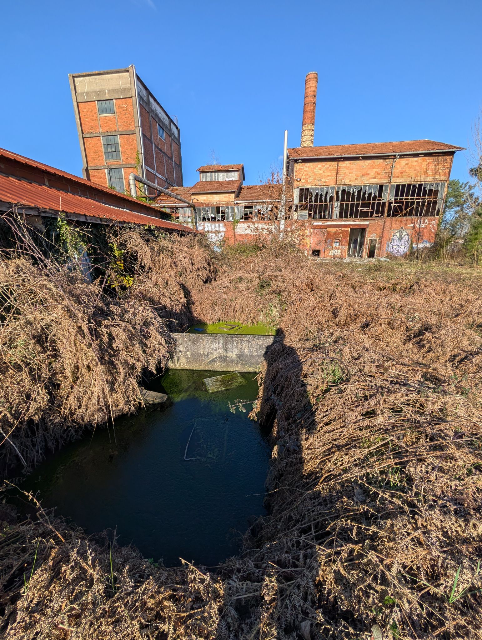 PXL 20260228 154415853