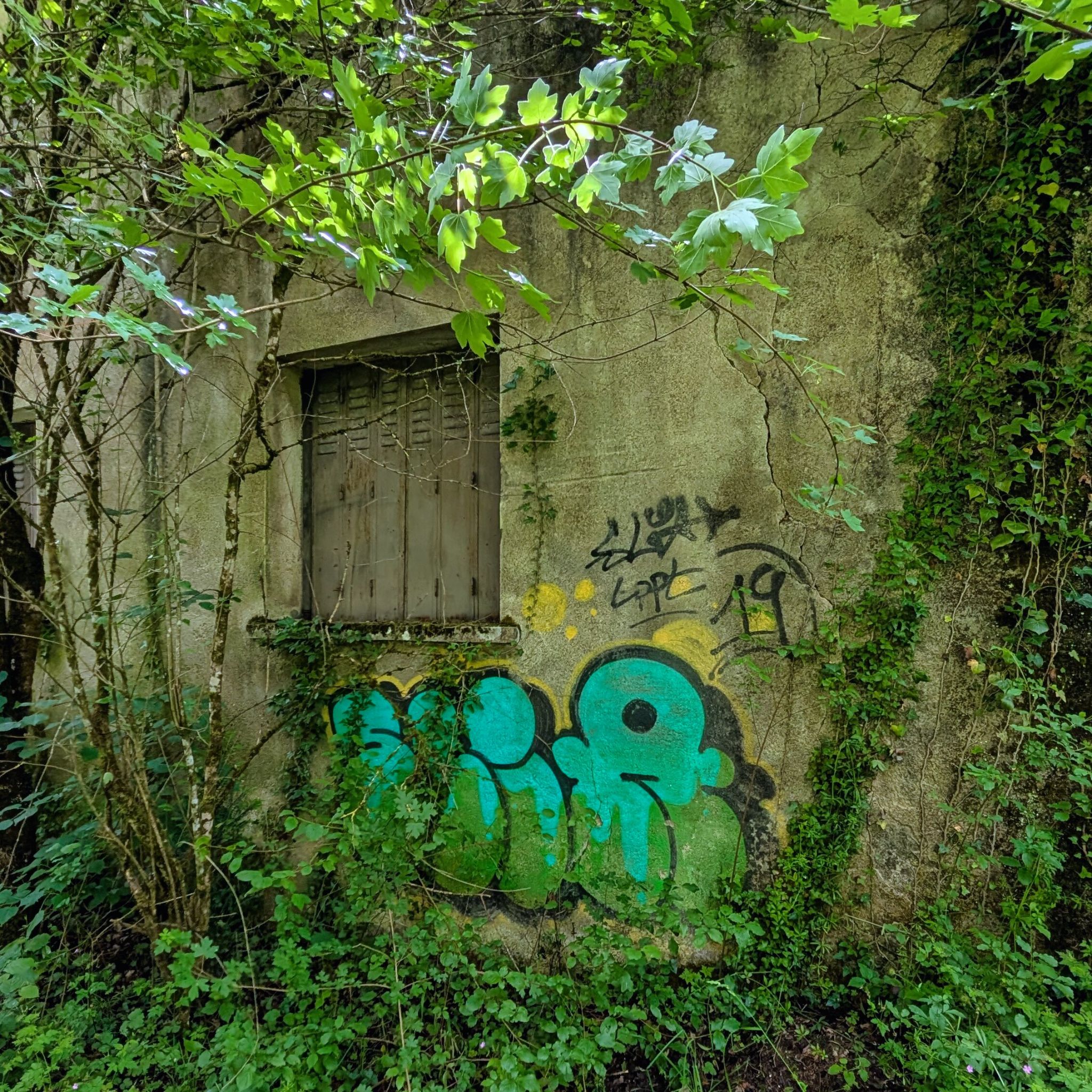 PXL 20260515 135115351