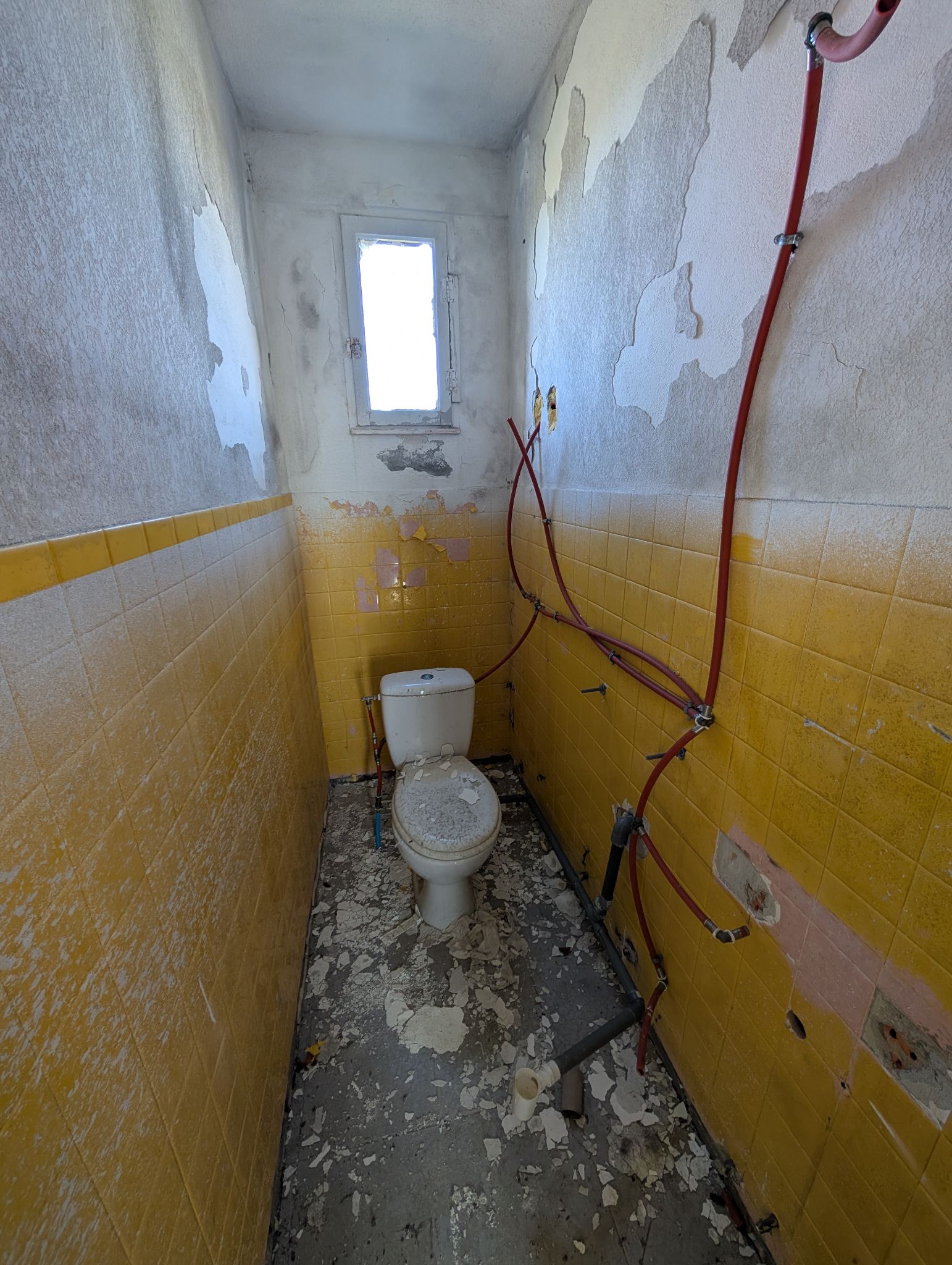 PXL 20260228 124210984