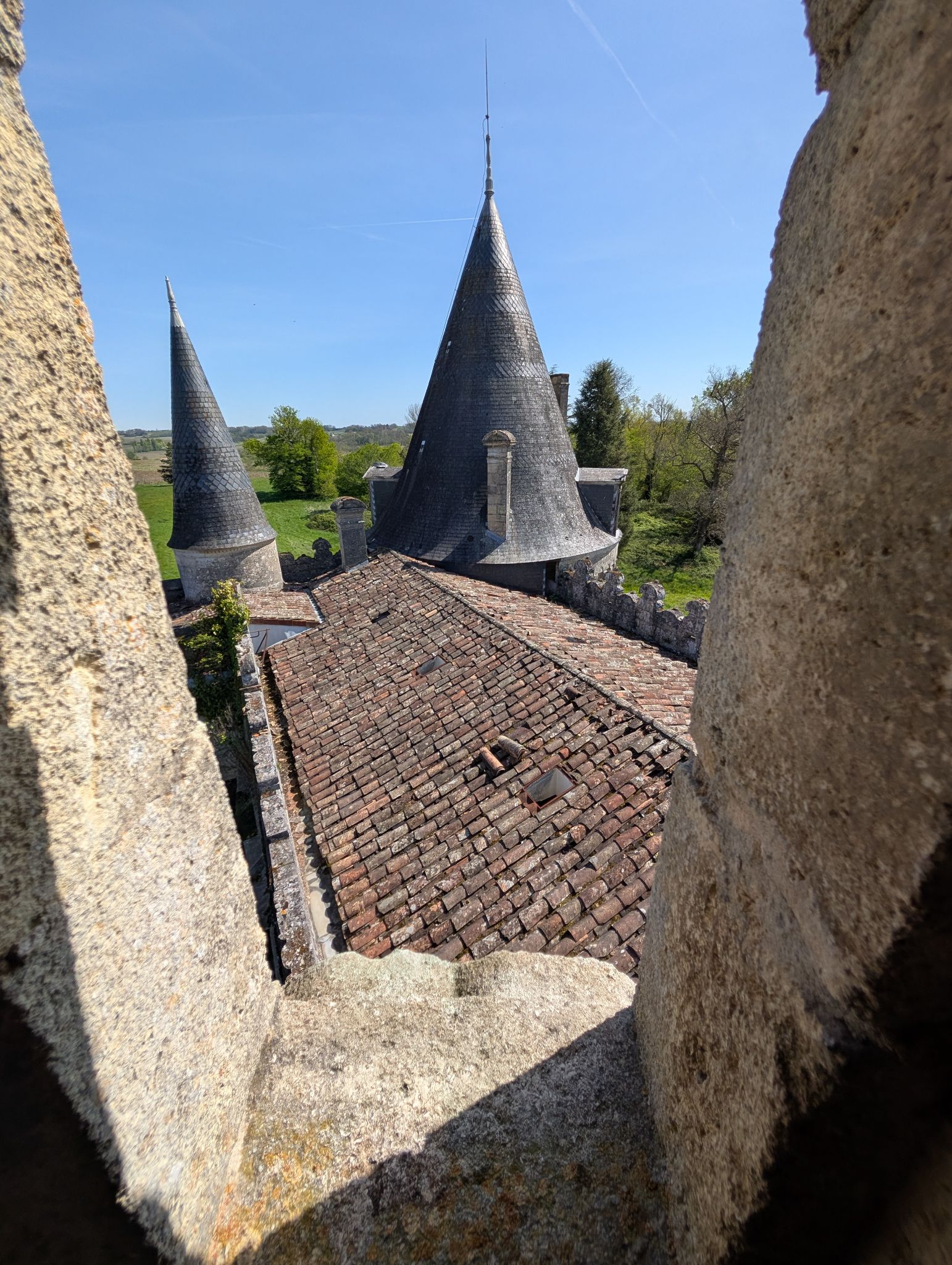 PXL 20260405 122237298