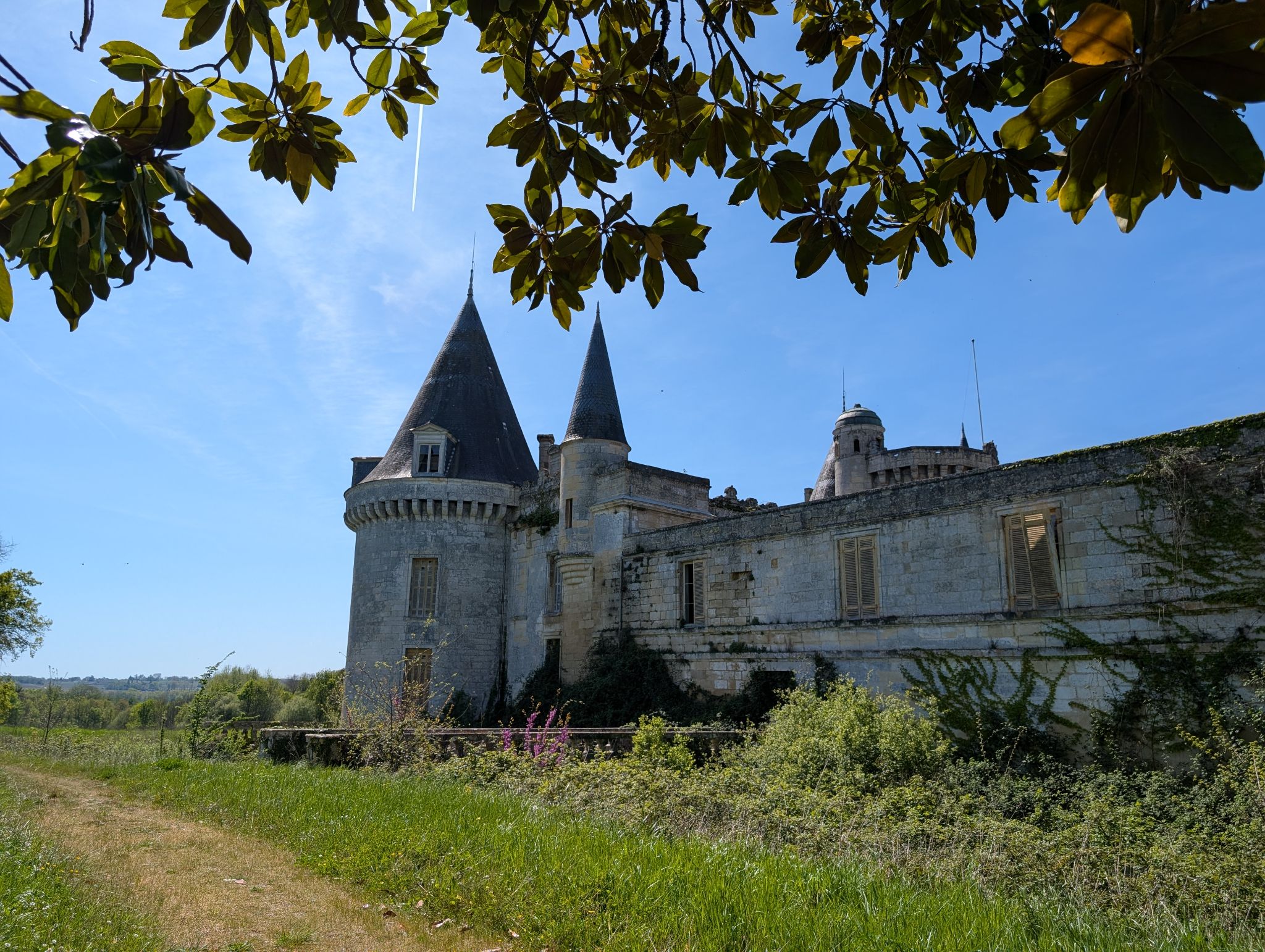 PXL 20260405 123822876